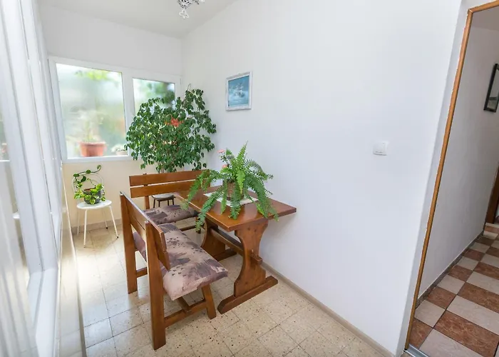 Liza 公寓 科尔丘拉